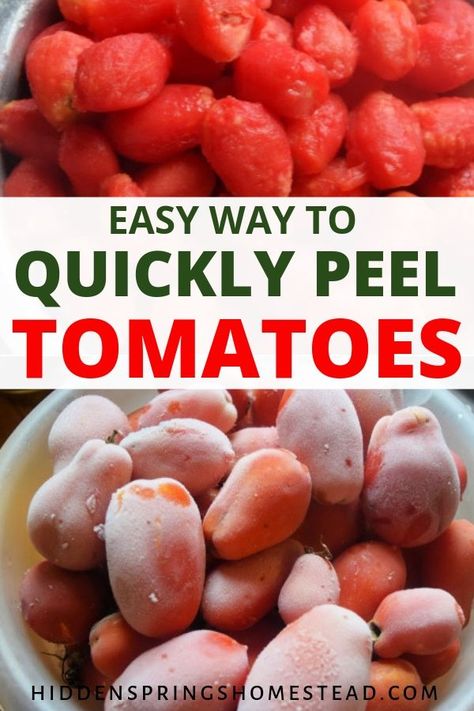 How To Peel Frozen Tomatoes, How To Peel Tomatoes Easily, Tomato Preserving, Blanching Tomatoes, Freeze Veggies, Roma Tomato Recipes, Peeling Tomatoes, Peel Tomatoes, Canning Garden