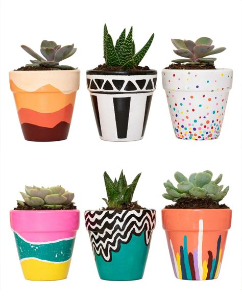 Young Adult Craft: Painted Potted Plants! - Malden Public Library Small Succulent Pots, Information Desk, Plant Pot Design, نباتات منزلية, Flower Pot Art, Plant Pot Diy, Flower Pot Design, Painted Pots Diy, Painted Plant Pots