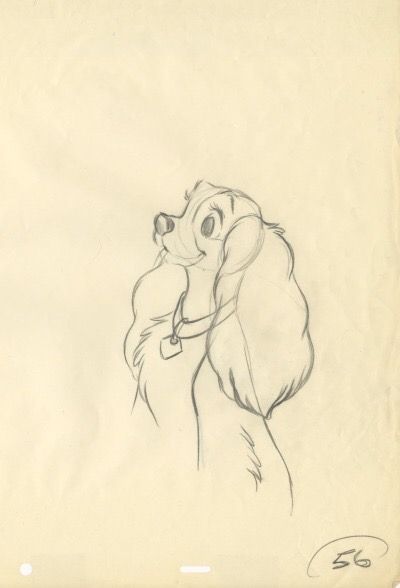 Disney Concept Art - Lady Disney Character Sketches, Dog Characters, Disney Character Drawings, Disney Drawings Sketches, Disney Art Drawings, Disney Concept Art, Disney Sketches, Walt Disney Animation Studios, Cartoon Sketches