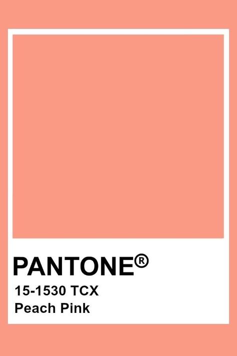 PANTONE Peach Pink Pantone Peach Shades, Light Orange Pantone, Pastel Swatches, Spring Pantone, Papaya Color, Pantone Orange, Witty Art, Pantone Tcx, Pantone Color Chart