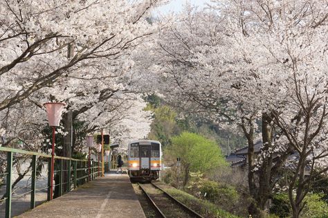 Okayama, Japan Aesthetic, Aesthetic Japan, Japanese Aesthetic, A Typical, Road Trip Usa, Pretty Places, Travel Aesthetic, Japan Travel