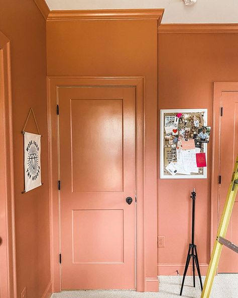 farrow and ball "red earth" Farrow And Ball Hallway, Farrow And Ball Bedroom, Terracotta Walls, Farrow And Ball Living Room, Red Ceiling, Hallway Paint, Home Office Closet, Family Room Makeover, Red Pictures