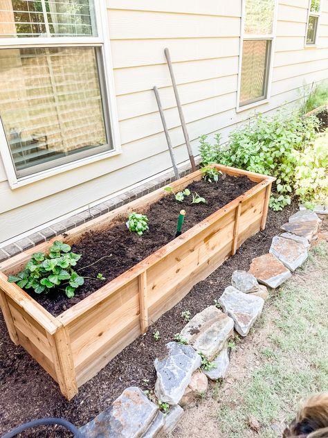 Easy DIY Raised Garden Bed for under $25 — Bourn To Create Easy Raised Garden Bed, Cedar Raised Garden Beds, Garden Boxes Diy, Cedar Planter Box, Fence Planters, Diy Garden Bed, Raised Planter Boxes, Planters Garden, Garden Boxes Raised