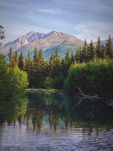 An offshoot of Eagle River in Eagle River, Alaska #Alaska #AlaskasBeauty Eagle River Alaska, Landscape Pics, Landscape Pictures, Mount Rainier, Alaska, Natural Landmarks, Travel, Beauty, Art