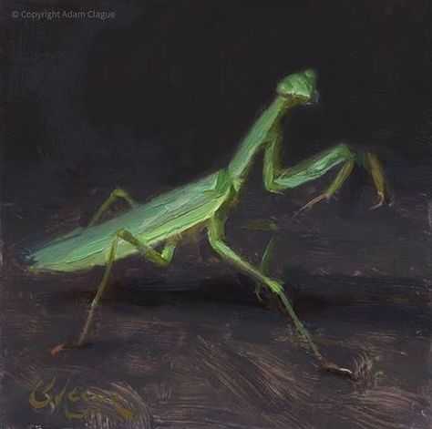 Clague Fine Art on Instagram: “This model would not stay still! For that reason, I drew his pose from a photo, but I painted his colors directly from life. I let him go…” Praying Mantis Painting, Adam Clague, Praying Mantis Art, Animals Painting, Let Him Go, Indie Drawings, Praying Mantis, Gcse Art, Letting Go Of Him