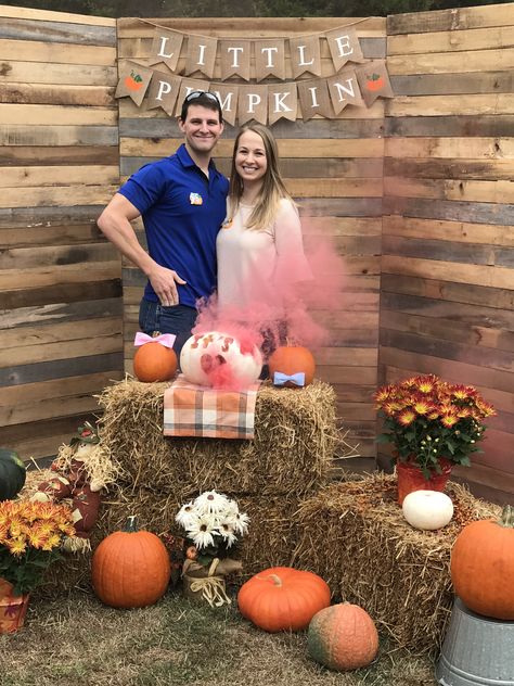 Pumpkin Themed Gender Reveal Party, Gender Reveal Pumpkin, Fall Gender Reveal Party, Themed Gender Reveal, Pumpkin Gender Reveal, Simple Gender Reveal, Creative Gender Reveals, Halloween Gender Reveal, Baby Gender Reveal Party Decorations