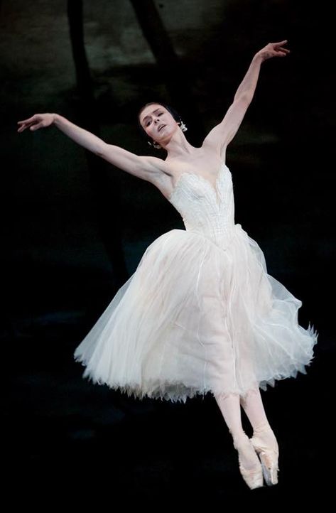 Natalia Osipova, Ballet Giselle, Adult Ballet, Ballet Pictures, Ballet Performances, Ballet Beauty, Ballet Inspiration, Zoella, Ballet Photos