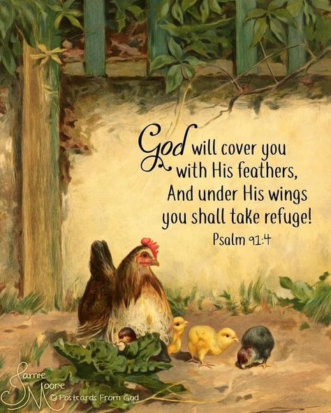 Psalm 91 4, Beautiful Verses, Under His Wings, Farm Art, Bible Verse Art, Prayer Verses, Prayer Scriptures, Inspirational Bible Quotes, Inspirational Prayers