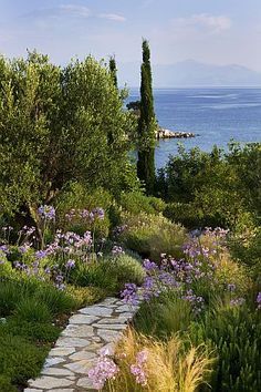 The Gardens at the Kassiopia Estate, North-East Corfu Greek Garden, Greece Islands, Mediterranean Garden, Corfu, Greek Islands, Garden Inspiration, Outdoor Garden, Secret Garden, Beautiful Gardens