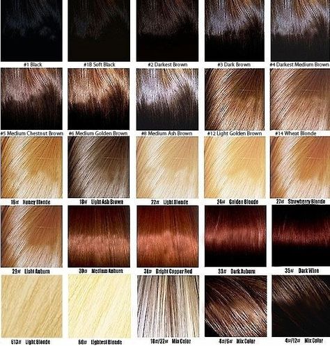 Aveda Hair Color Chart Google Search Brown Hair Color Chart Aveda Aveda Hair Color Chart, Hair Color Chart Brown, Natural Hair Color Chart, Brown Hair Chart, Light Golden Brown Hair Color, Caramel Blonde Hair Color, Light Golden Brown Hair, Reddish Brown Hair Color, Brown Hair Color Chart