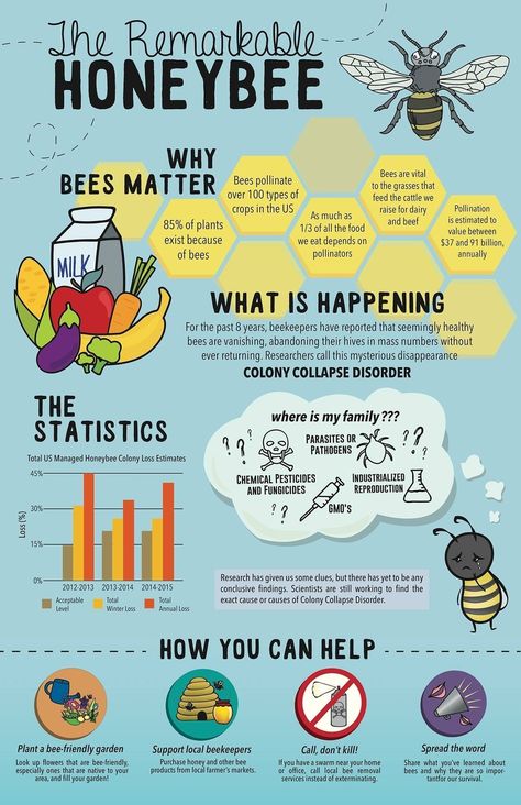 Why bees matter. Learn more about bees, honeybees, and our pollinators here with this Infographic. Pollinator Garden Ideas, Bee Facts For Kids, Honey Bee Facts, Backyard Bee, Bee Friendly Garden, Bee Friendly, Facts For Kids, Pollinator Garden, Bee Crafts