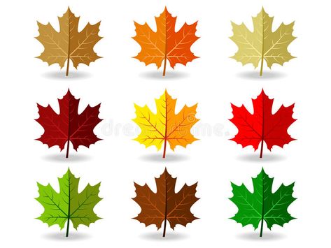 Set of colorful maple leaves. Vector illustration of Maple leaf in various color #Sponsored , #AD, #AD, #maple, #Set, #leaf, #leaves Maple Leaf Color Palette, Maple Leaf Clipart, Leaf Confetti, Leaf Collage, Canada Maple Leaf, Dessert Station, Leaf Clipart, Color Illustration, Leaves Vector