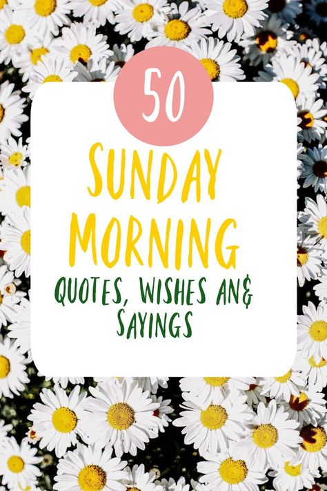 A host of beautiful Sunday morning quotes wishes and sayings for Instagram and captions, cards and blogs or just to make you sile Quotes For Sunday Morning, Good Sunday Morning Quotes, Beautiful Sunday Morning Quotes, Quotes About Sunday, Inspirational Quotes Wise Words, Beautiful Sunday Morning, Do Good Quotes, Quotes Wise Words, Have A Beautiful Sunday