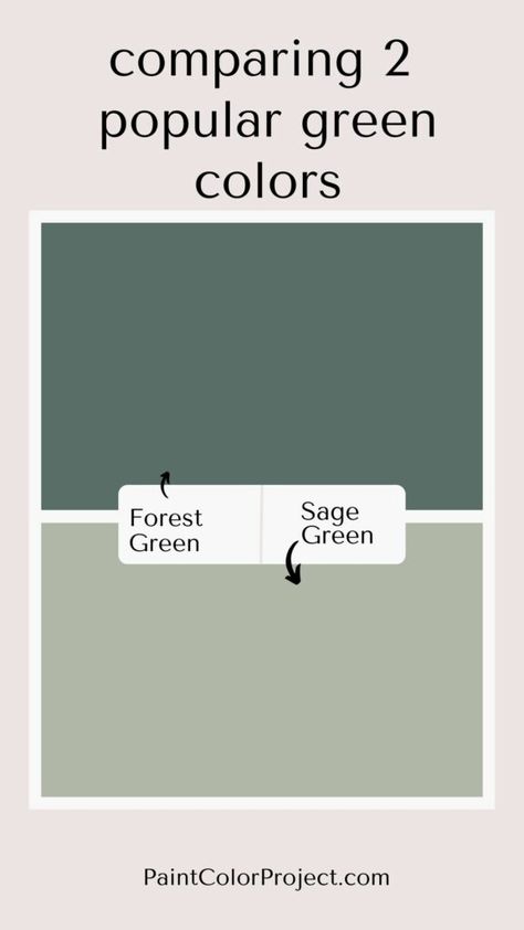 comparing the colors forest green vs sage green including undertones, coordinating colors, complimentary colors, and accent colors Complimentary Green Colors, Sage Green Complimentary Colors, Violet Brown, Sage Green Paint, Green Paint Colors, Complimentary Colors, She Shed, Green Paint, Coordinating Colors