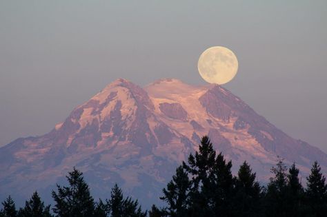 A Blue Moon over Mt. Rainier, Washington State Shoot The Moon, Moon Photos, Moon Pictures, Mt Rainier, Beautiful Moon, Landscape Drawings, Get Outdoors, French Bread, Blue Moon