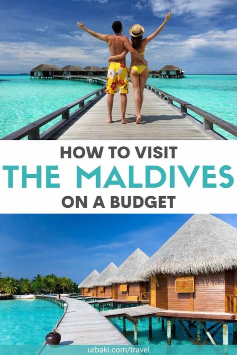 How to Visit The Maldives on a Budget Underwater Restaurant, Tropical Vacations, Packing Ideas, Cheap Vacation, Overwater Bungalows, Maldives Travel, Travel Budget, Budget Tips, Asia Travel Guide