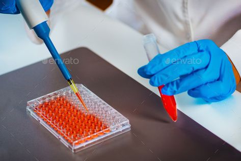 Cell Culture Lab, Biotechnology Laboratory, Cell Culture, Laboratory Technician, Teaching Biology, Molecular Biology, Lab Equipment, Print Designs Inspiration, Biotechnology