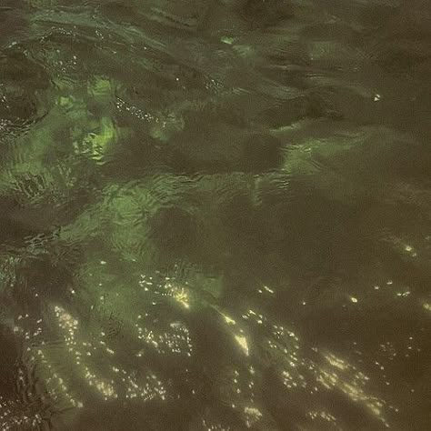 Aesthetic Water, Sage Green Wallpaper, Water Aesthetic, Green Pictures, Aesthetic Cottagecore, Dark Green Aesthetic, Green Water, Aesthetic Colors, Brown Aesthetic