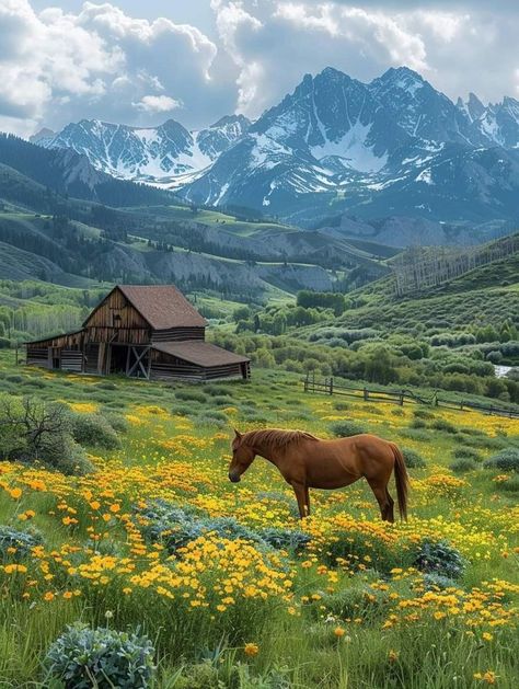 Cottage Ranch, Country Scenery, Swiss Mountains, Country Romance, Country Photography, Cabin In The Mountains, Farm Lifestyle, Scenery Photography, Horse Ranch