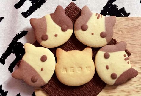 Desserts Japonais, Kitty Cookies, Kawaii Desserts, Dessert Chef, Japanese Candy Snacks, Food Cat, Kawaii Dessert, Cat Cookies, Kawaii Cooking