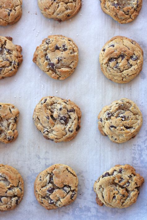 The Best Chocolate Chip Cookie Recipe - Everyday Reading Chocolate Chip Cookies With Shortening, Cookies With Shortening, Best Chocolate Chip Cookie Recipe Ever, Best Chocolate Chip Cookie Recipe, Best Chocolate Chip Cookies Recipe, Best Chocolate Chip, Perfect Chocolate Chip Cookies, Chocolate Chip Cookie Recipe, Marshmallow Pops