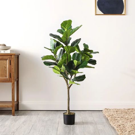 Freeport Park® Faux Fiddle Leaf Fig Potted Tree & Reviews | Wayfair Fiddle Fig Tree, Slim Tree, Fiddle Fig, Planting Pot, Faux Tree, Black Cement, Silk Plants, Potted Trees, Fiddle Leaf