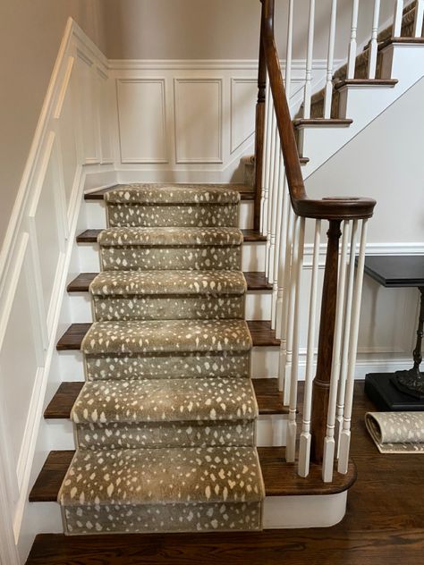 Antelope Print Stair Runner, Leopard Print Stair Runner, Antelope Stair Runner, Lake House Family Room, Stair Idea, Stairway Carpet, Client Board, Staircase Runner, Staircase Ideas