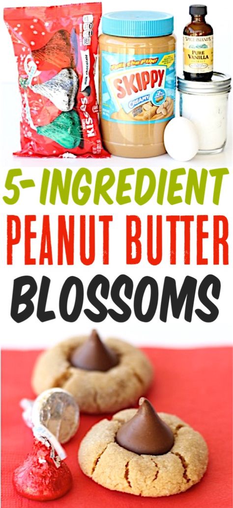 Easy Peanut Butter Kiss Cookies Recipe! {5 Ingredient Blossoms} Kiss Blossom Cookies, Peanut Butter Kiss Cookies Recipe, Kiss Cookies Recipe, Desserts Peanut Butter, Kiss Cookie Recipe, Peanut Butter Blossoms Recipe, Friends Crafts, Peanut Butter Kiss, Hersheys Kisses