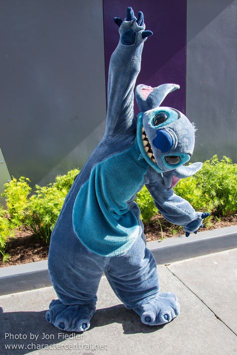 WDW Dec 2014 - Meeting Stitch | Flickr - Photo Sharing! Stitch Disney Costume, Stitch In Costume, Stitch In Halloween Costume Drawing, Stitch Dog Costume, Stitch Jumpsuit Disney, Stitch Costume, Easy Crafts For Teens, Lilo And Stitch Drawings, Stitch Character