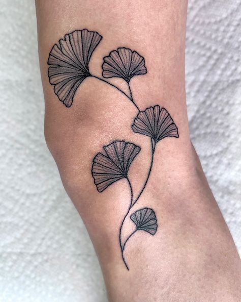 tattoo ideas leaves vines ginkgo tree cute aesthetic line work minimalistic nature flower knee tattoos ink black and white girly artist art design skin leg tat simple flash sheet tattooing needle 5rl small lines Fiddle Leaf Tattoo, Simple Flash Sheet, Feminine Knee Tattoo, Ginkgo Leaf Tattoo, Over The Knee Tattoo, Knee Tattoo Ideas, The Knee Tattoo, Flower Vine Tattoos, Knee Tattoos