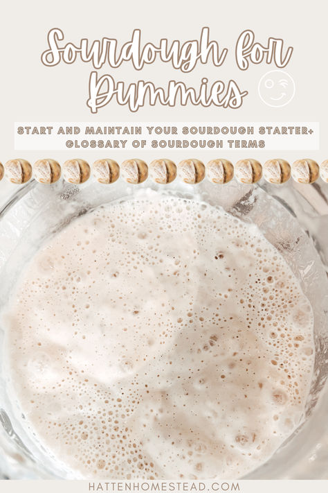 Ready to tackle sourdough baking but feeling overwhelmed? Check out my easy-to-follow sourdough for dummies guide! With step-by-step instructions and helpful tips, you'll be baking delicious sourdough bread in no time How To Know When Sourdough Starter Is Ready To Use, Sourdough Starter Measurements, Step By Step Sourdough Bread Recipe, Sourdough Bread For Dummies, Step By Step Sourdough Starter, Sourdough Starter Day By Day, Sourdough Troubleshooting Chart, Sourdough Bread Process, Sourdough Necessities