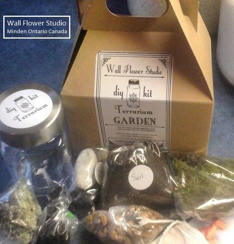 Indoor Gardening Diy, Terrarium Workshop, Terrarium Gifts, Diy Dinosaur, Diy Terrarium Kit, Terrarium Kit, Diy Terrarium, Studio Diy, Terrariums Kits