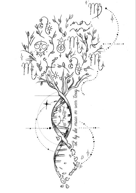 Zodiac star signs DNA family tree tattoo designs nature tree Family Tree Spine Tattoo, Tree Of Like Back Tattoo, Family Tree Of Life Tattoo, Family Spine Tattoos For Women, Dna Family Tree Tattoo, Tattoos With Family Meaning, Dna Family Tattoo, Family Roots Tattoo, Family Representation Tattoos