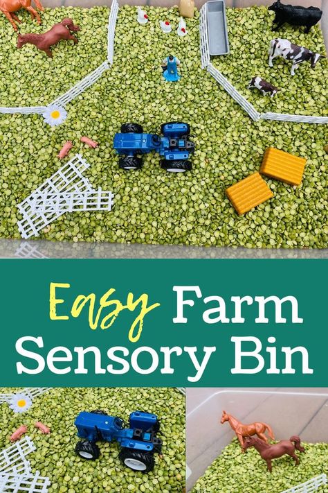 easy farm sensory bin includes a tractor, horses, cows, pigs, fences, and green split peas Farm Sensory Table, Farm Sensory Activities, Farm Sensory Play, Sensory Bin For Preschoolers, Taking Care Of Animals, Farm Sensory, Farm Sensory Bin, Summer Daycare, Farm Week