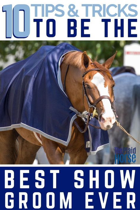 Being a groom is a great way to gain tons of experience in the horse industry, not to mention travel and see some of the most spectacular horse shows.  Learn how to be the best horse show groom you can be with these simple tips. #horsegroom #horseshowtips #equestrianlife #horseindustry #theplaidhorsemag Horse Show Grooming Tips, Horse Show Prep, Horse Grooming Tips, Horse Show Hacks, Horse Hairstyles, Stable Management, Horse Hacks, Dressage Tests, Farm Management