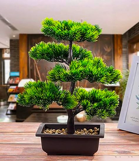 Infuse tranquility into your space with Bonsai Pine Tree Artificial Plants. Lifelike aesthetics, zero upkeep. Redefine your decor effortlessly and enjoy timeless elegance. #BonsaiPineTree#ArtificialPlants #HomeDecor#IndoorGreenery Indoor Green Plants, Tree Living Room, Bonsai Diy, Pine Bonsai, Living Room Garden, Desk Display, Fake Trees, Ornament Craft, Room Garden