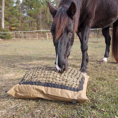 Horse Enrichment, Diy Horse Toys, Toys For Horses, Hay Feeder For Horses, Enrichment Projects, Paddock Paradise, Hay Feeder, Horse Treats, Horse Diy