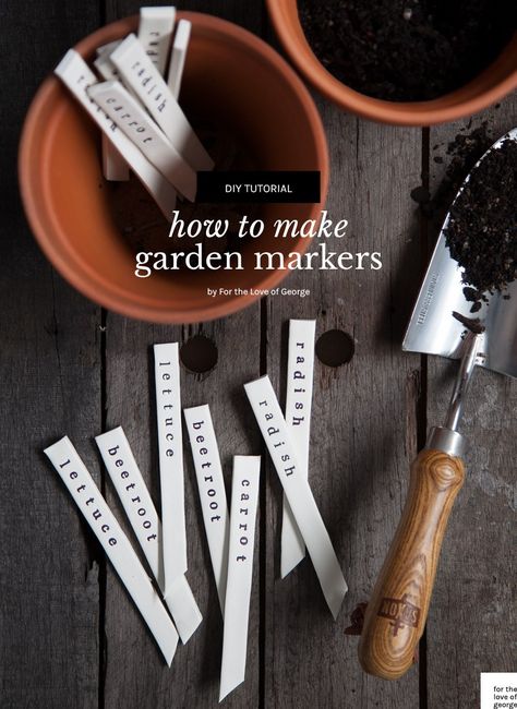 DIY garden markers | For The Love Of George Garden Labels Diy, Plant Markers Diy, Garden Markers Diy, Diy Marker, Herb Markers, Fruit Names, Garden Labels, Labels Diy, Plant Labels