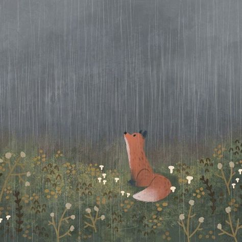 In The Rain, The Rain, Fox, Funny, Plants, Flowers, Animals