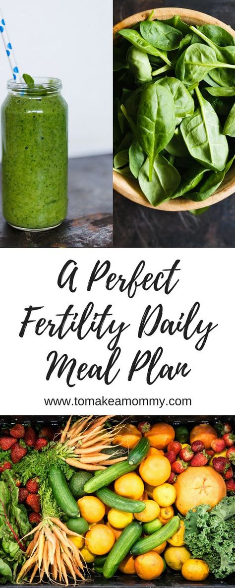 Fertility Meal Plan, Ttc Diet, Fertility Diet Plan, Ivf Diet, Fertility Smoothie, Day Meal Plan, Fertility Foods, Daily Meal Plan, Fertility Diet