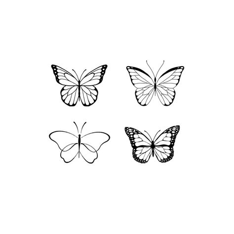 Different Types Of Butterfly Tattoos, Different Types Of Butterflies Tattoos, Butterfly Tattoo Reference, Butterflies Tattoo Outline, Types Of Butterflies Tattoo, Simply Butterfly Tattoo, Simple Tattoos Outline, Morpho Butterfly Tattoo, Butterfly Tattoo Outline