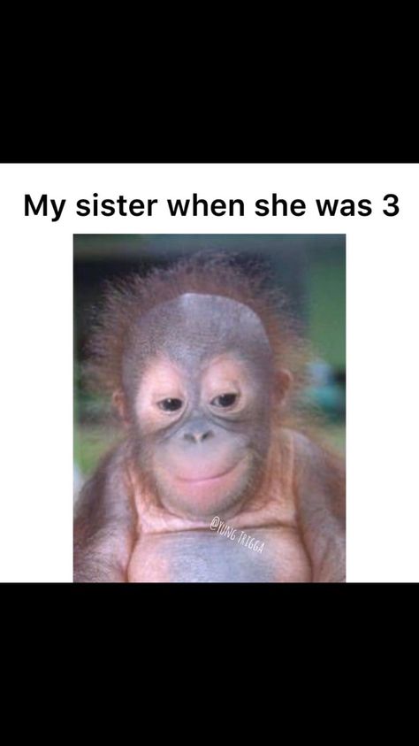 My sister How To Annoy Your Sister, Sister Jokes Funny, Funny Sister Memes, Annoying Sister, Sister Humor, Sister Meme, Friday Jokes, Sister Jokes, Sister Funny