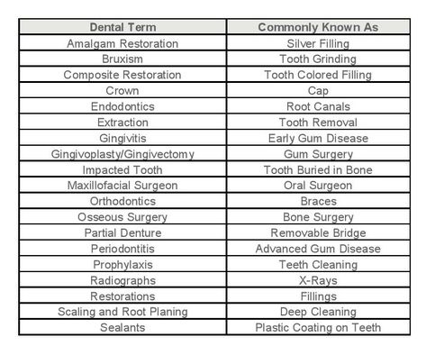 Favero Family Dental | Dental Terms Cheat Sheet Dental Terminology Cheat Sheet, Dental Assistant Notes, Dental Assistant Tips, Dentistry Notes, Dental Assistant Study Guide, Dental Notes, Dental Charting, Dental Terminology, Dental Nursing