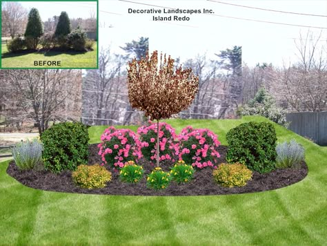 Easy Backyard Landscaping, Trees For Front Yard, Driveway Landscaping, Easy Backyard, Front Landscaping, Landscape Design Plans, Landscape Designs, Flower Landscape, Front House Landscaping