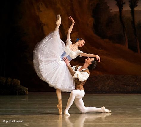 Svetlana Zakharova Ballet Giselle, Ballet Dance Photography, Svetlana Zakharova, Ballet Images, Ballet Pictures, Rudolf Nureyev, Ballet Performances, Bolshoi Ballet, Ballet Beauty