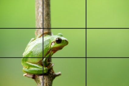 Rule of thirds Rules Of Thirds Photography Ideas, Rule Of Thirds Examples, Photography Rule Of Thirds, Thirds Photography, Elements Of Photography, Photography Composition Rules, Rule Of Thirds Photography, Types Of Composition, Composition Rules