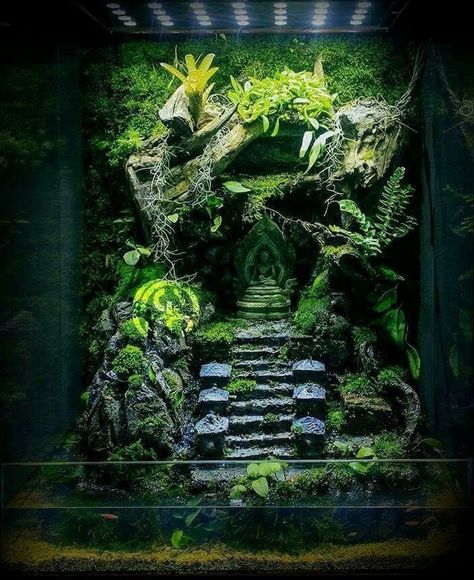 Fantasy Layout, Axolotl Tank, Water Terrarium, Frog Terrarium, Aquarium Garden, Fish Tank Terrarium, Aquascape Design, Fish Tank Design, Beautiful Terrariums