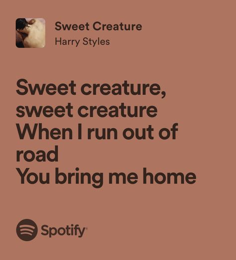 sweet creature - harry styles Nora Stephens And Charlie Lastra, Sweet Creature Lyrics, Nora Stephens, Book Lovers By Emily Henry, Style Lyrics, Harry Styles Songs, Emily Henry, Harry Styles Edits, Music Is My Escape