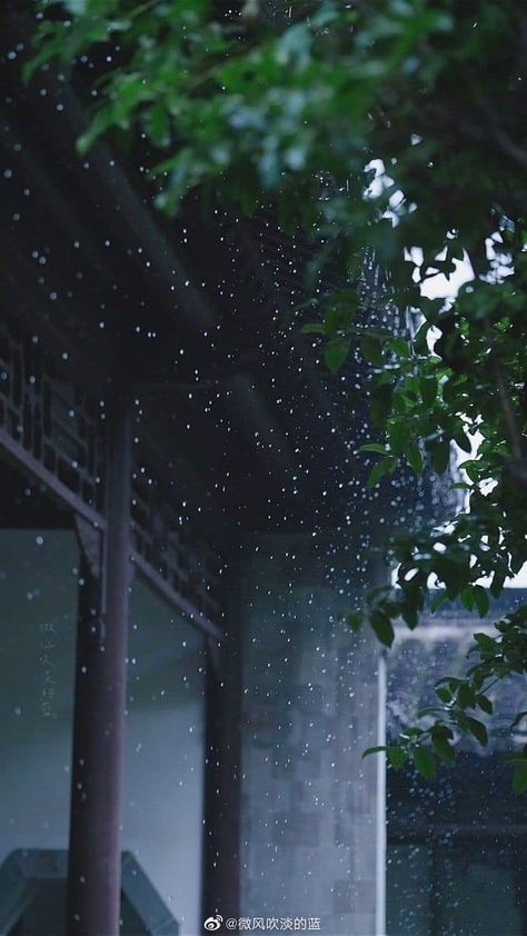 Zen Aesthetic, Rain Wallpaper, Rainy Wallpaper, Smell Of Rain, Japanese Tree, Rain Wallpapers, Image Background, Love Animation Wallpaper, Wallpapers Images