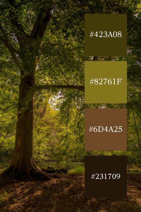 Sunlight filtering through dense green foliage in a forest, highlighting a serene forest green and brown color palette. Forest Aesthetic Color Palette, Dark Sage Green Color Palette, Colors That Match With Green, Moody Green Color Palettes, Agriculture Color Palette, Dark Green Color Palette Colour Schemes, Hunter Green Color Palette, Forest Colour Palette, Forest Color Scheme